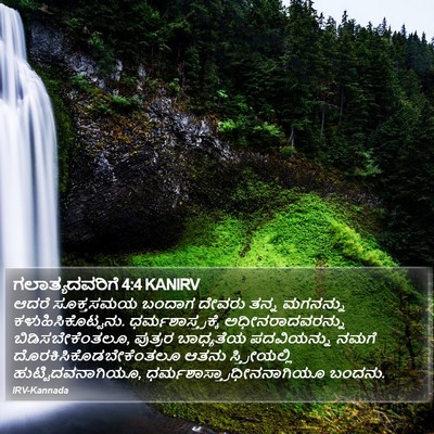 ಗಲಾತ್ಯದವರಿಗೆ 4:4 KANIRV Bible Verse Image