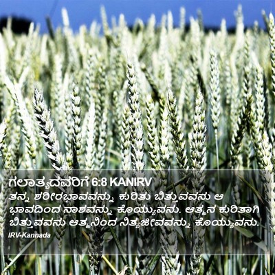 ಗಲಾತ್ಯದವರಿಗೆ 6:8 KANIRV Bible Verse Image