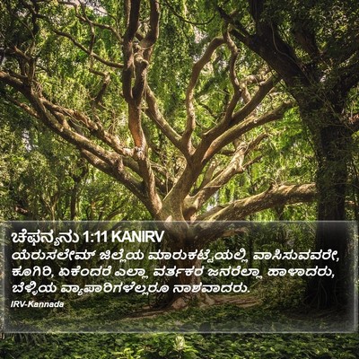 ಚೆಫನ್ಯನು 1:11 KANIRV Bible Verse Image
