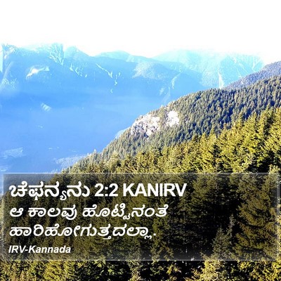 ಚೆಫನ್ಯನು 2:2 KANIRV Bible Verse Image