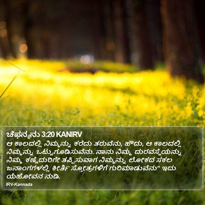 ಚೆಫನ್ಯನು 3:20 KANIRV Bible Verse Image