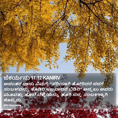 ಜೆಕರ್ಯನು 11:12 KANIRV Bible Verse Image
