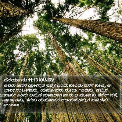 ಜೆಕರ್ಯನು 11:13 KANIRV Bible Verse Image