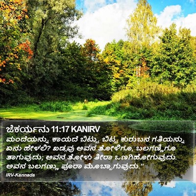 ಜೆಕರ್ಯನು 11:17 KANIRV Bible Verse Image