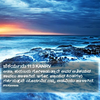 ಜೆಕರ್ಯನು 11:3 KANIRV Bible Verse Image