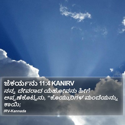 ಜೆಕರ್ಯನು 11:4 KANIRV Bible Verse Image