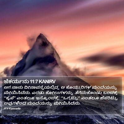 ಜೆಕರ್ಯನು 11:7 KANIRV Bible Verse Image