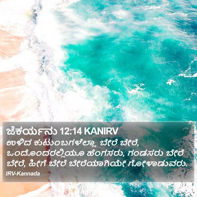 ಜೆಕರ್ಯನು 12:14 KANIRV Bible Verse Image