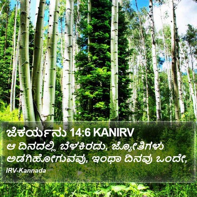 ಜೆಕರ್ಯನು 14:6 KANIRV Bible Verse Image