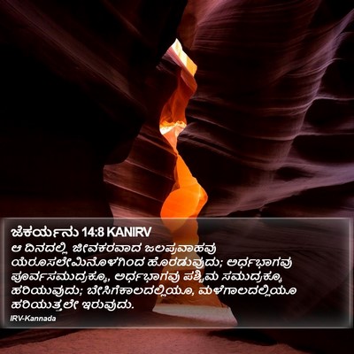 ಜೆಕರ್ಯನು 14:8 KANIRV Bible Verse Image