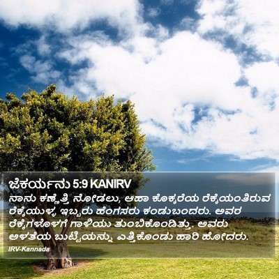 ಜೆಕರ್ಯನು 5:9 KANIRV Bible Verse Image