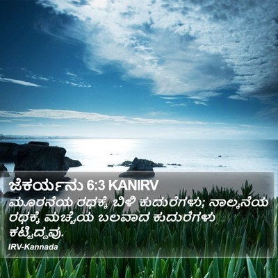 ಜೆಕರ್ಯನು 6:3 KANIRV Bible Verse Image