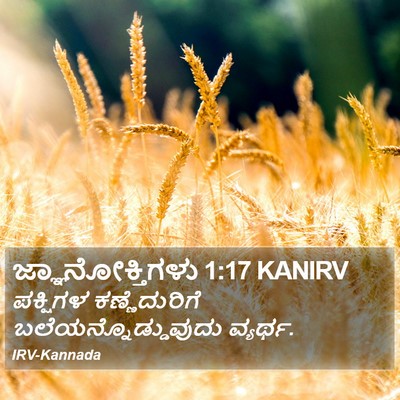 ಜ್ಞಾನೋಕ್ತಿಗಳು 1:17 KANIRV Bible Verse Image