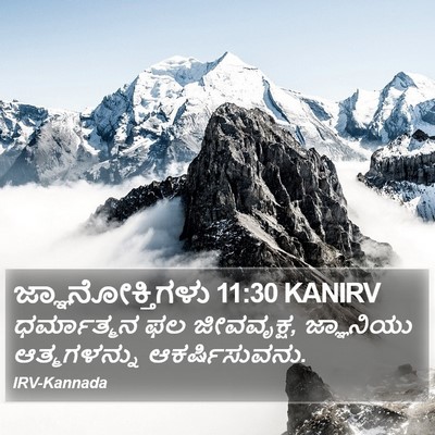 ಜ್ಞಾನೋಕ್ತಿಗಳು 11:30 KANIRV Bible Verse Image
