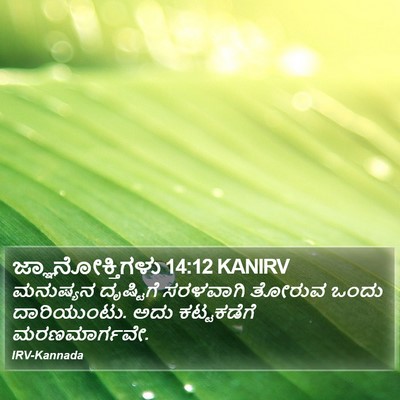 ಜ್ಞಾನೋಕ್ತಿಗಳು 14:12 KANIRV Bible Verse Image