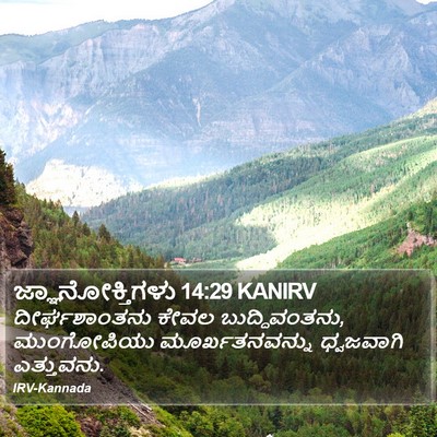 ಜ್ಞಾನೋಕ್ತಿಗಳು 14:29 KANIRV Bible Verse Image