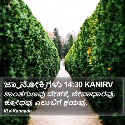 ಜ್ಞಾನೋಕ್ತಿಗಳು 14:30 KANIRV Bible Verse Image