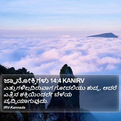 ಜ್ಞಾನೋಕ್ತಿಗಳು 14:4 KANIRV Bible Verse Image