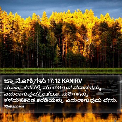 ಜ್ಞಾನೋಕ್ತಿಗಳು 17:12 KANIRV Bible Verse Image