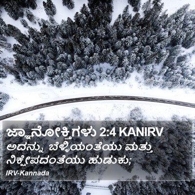 ಜ್ಞಾನೋಕ್ತಿಗಳು 2:4 KANIRV Bible Verse Image