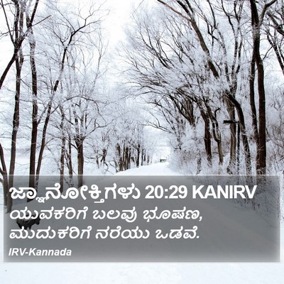 ಜ್ಞಾನೋಕ್ತಿಗಳು 20:29 KANIRV Bible Verse Image