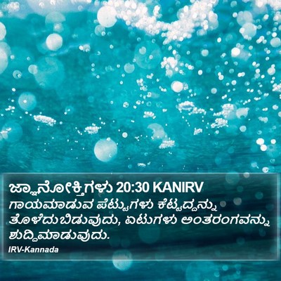 ಜ್ಞಾನೋಕ್ತಿಗಳು 20:30 KANIRV Bible Verse Image