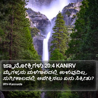 ಜ್ಞಾನೋಕ್ತಿಗಳು 20:4 KANIRV Bible Verse Image