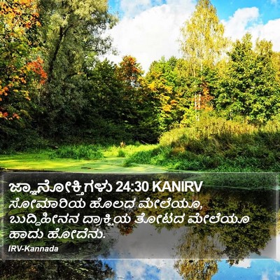 ಜ್ಞಾನೋಕ್ತಿಗಳು 24:30 KANIRV Bible Verse Image