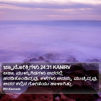 ಜ್ಞಾನೋಕ್ತಿಗಳು 24:31 KANIRV Bible Verse Image