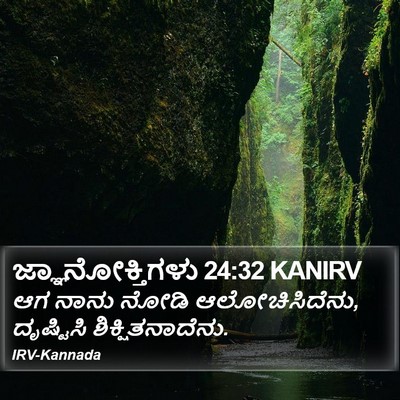 ಜ್ಞಾನೋಕ್ತಿಗಳು 24:32 KANIRV Bible Verse Image