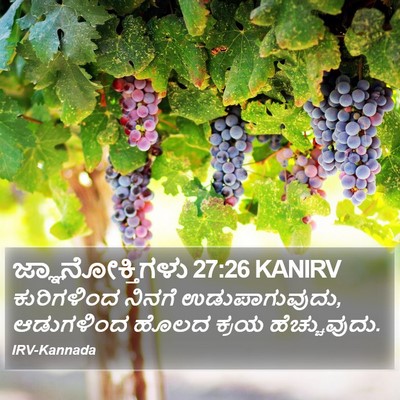 ಜ್ಞಾನೋಕ್ತಿಗಳು 27:26 KANIRV Bible Verse Image