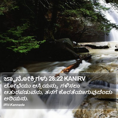 ಜ್ಞಾನೋಕ್ತಿಗಳು 28:22 KANIRV Bible Verse Image