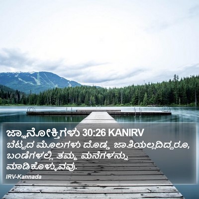 ಜ್ಞಾನೋಕ್ತಿಗಳು 30:26 KANIRV Bible Verse Image