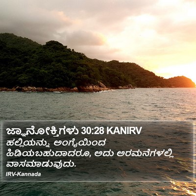 ಜ್ಞಾನೋಕ್ತಿಗಳು 30:28 KANIRV Bible Verse Image