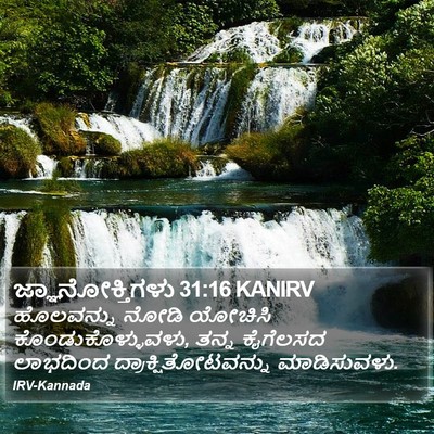 ಜ್ಞಾನೋಕ್ತಿಗಳು 31:16 KANIRV Bible Verse Image
