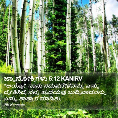 ಜ್ಞಾನೋಕ್ತಿಗಳು 5:12 KANIRV Bible Verse Image