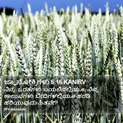 ಜ್ಞಾನೋಕ್ತಿಗಳು 5:16 KANIRV Bible Verse Image