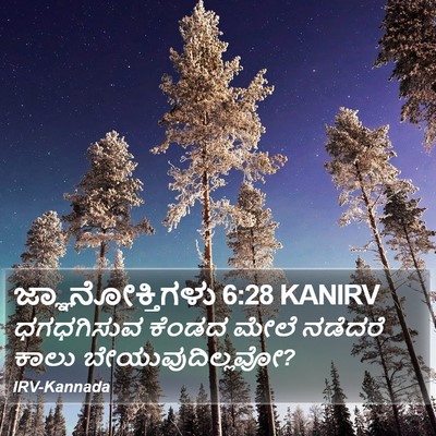 ಜ್ಞಾನೋಕ್ತಿಗಳು 6:28 KANIRV Bible Verse Image