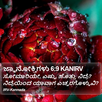 ಜ್ಞಾನೋಕ್ತಿಗಳು 6:9 KANIRV Bible Verse Image
