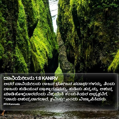 ದಾನಿಯೇಲನು 1:8 KANIRV Bible Verse Image