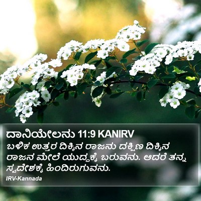 ದಾನಿಯೇಲನು 11:9 KANIRV Bible Verse Image