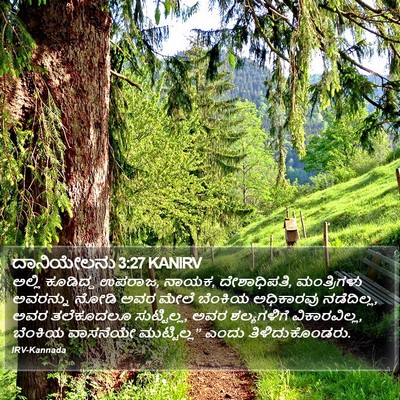 ದಾನಿಯೇಲನು 3:27 KANIRV Bible Verse Image