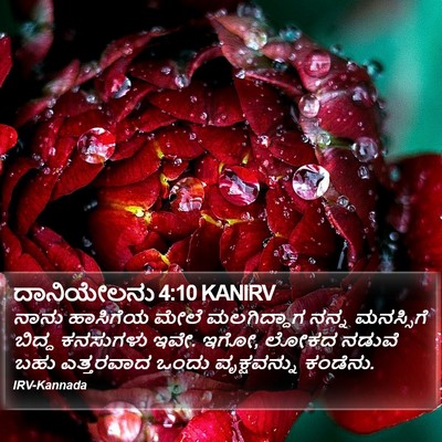 ದಾನಿಯೇಲನು 4:10 KANIRV Bible Verse Image