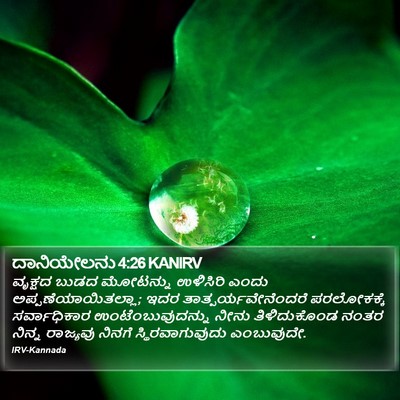 ದಾನಿಯೇಲನು 4:26 KANIRV Bible Verse Image