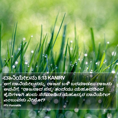 ದಾನಿಯೇಲನು 5:13 KANIRV Bible Verse Image