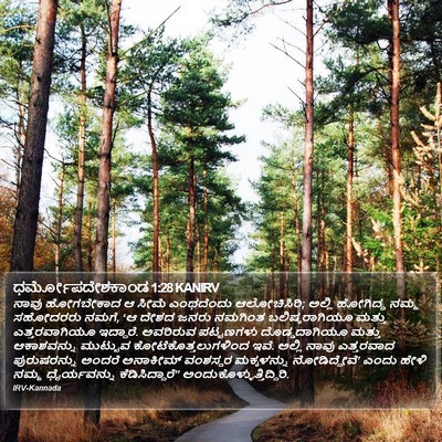 ಧರ್ಮೋಪದೇಶಕಾಂಡ 1:28 KANIRV Bible Verse Image