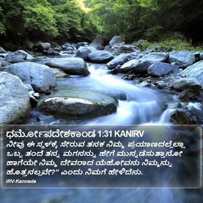 ಧರ್ಮೋಪದೇಶಕಾಂಡ 1:31 KANIRV Bible Verse Image
