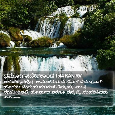 ಧರ್ಮೋಪದೇಶಕಾಂಡ 1:44 KANIRV Bible Verse Image