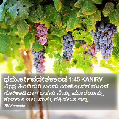 ಧರ್ಮೋಪದೇಶಕಾಂಡ 1:45 KANIRV Bible Verse Image