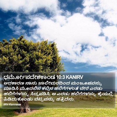 ಧರ್ಮೋಪದೇಶಕಾಂಡ 10:3 KANIRV Bible Verse Image